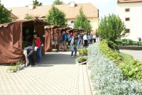 /album/fotogalerie-zamek-ctenice/zamecky-areal-ctenice3340-jpg/